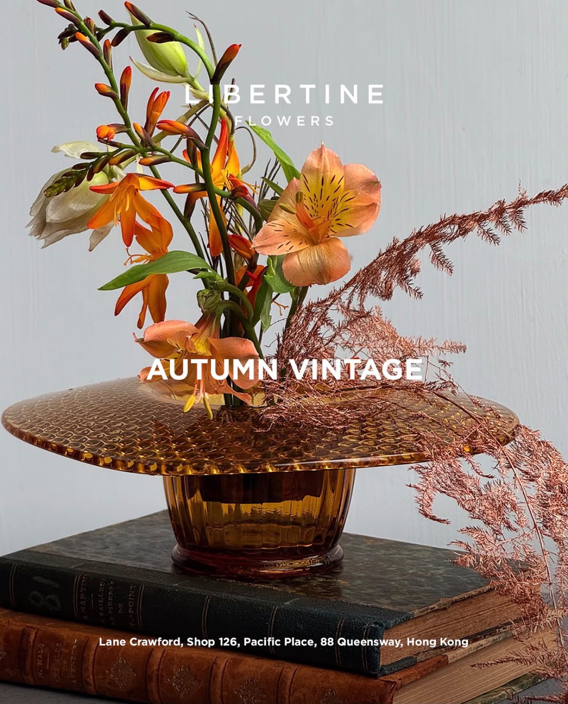 Autumn Vintage - September 2025