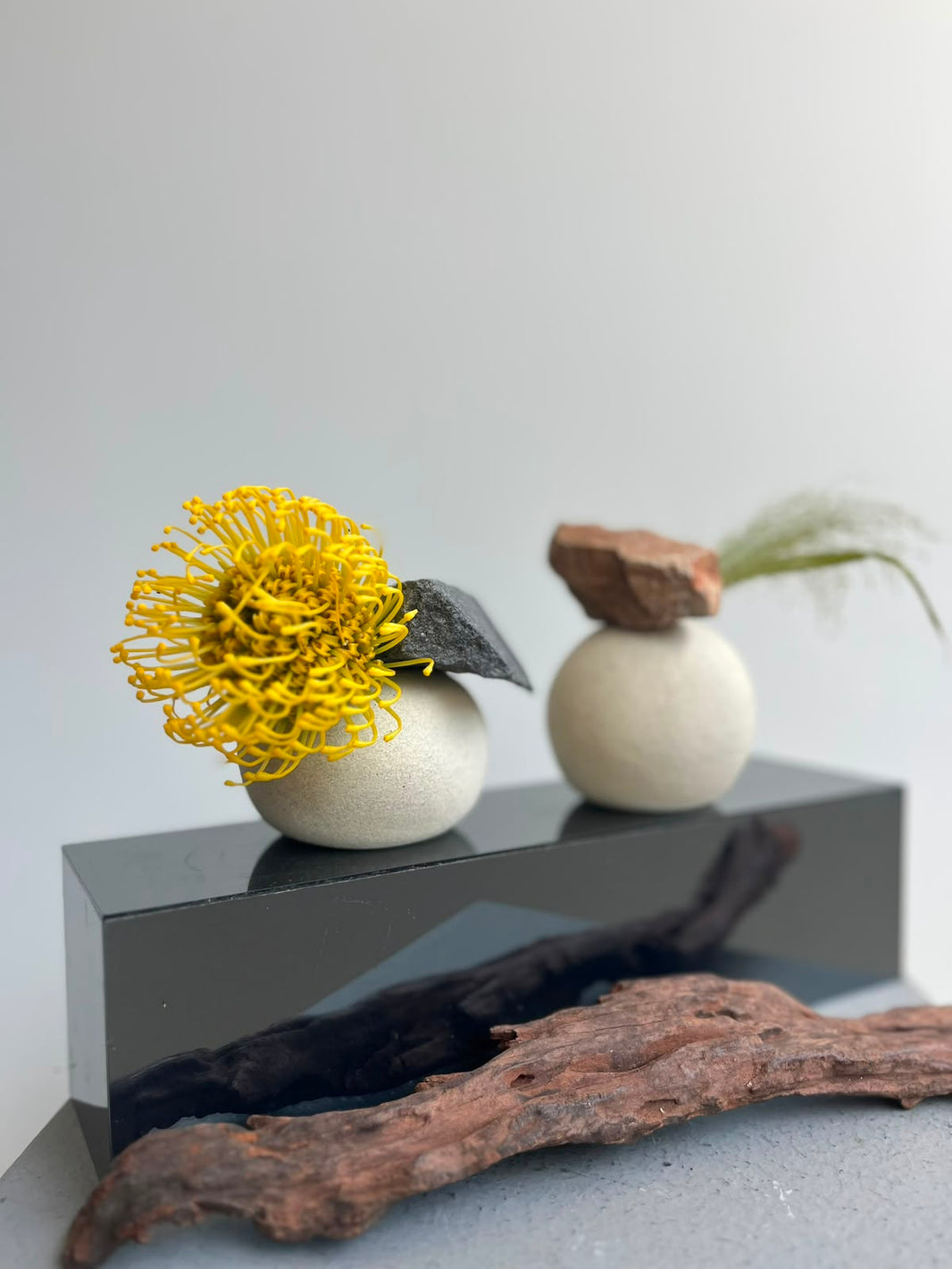 Celebrating Ceramics - Mar 2026