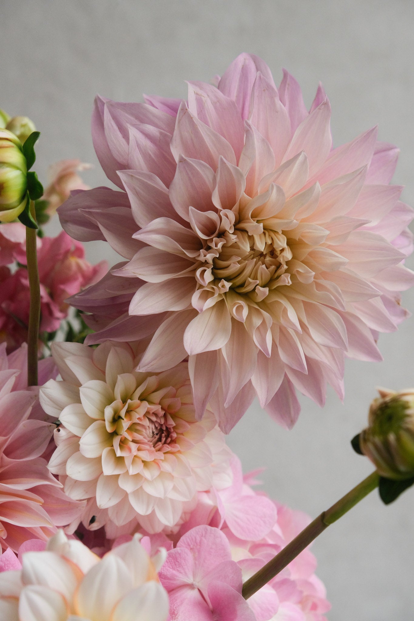La Vie en Rose | Flower Bouquet | Libertine Flowers