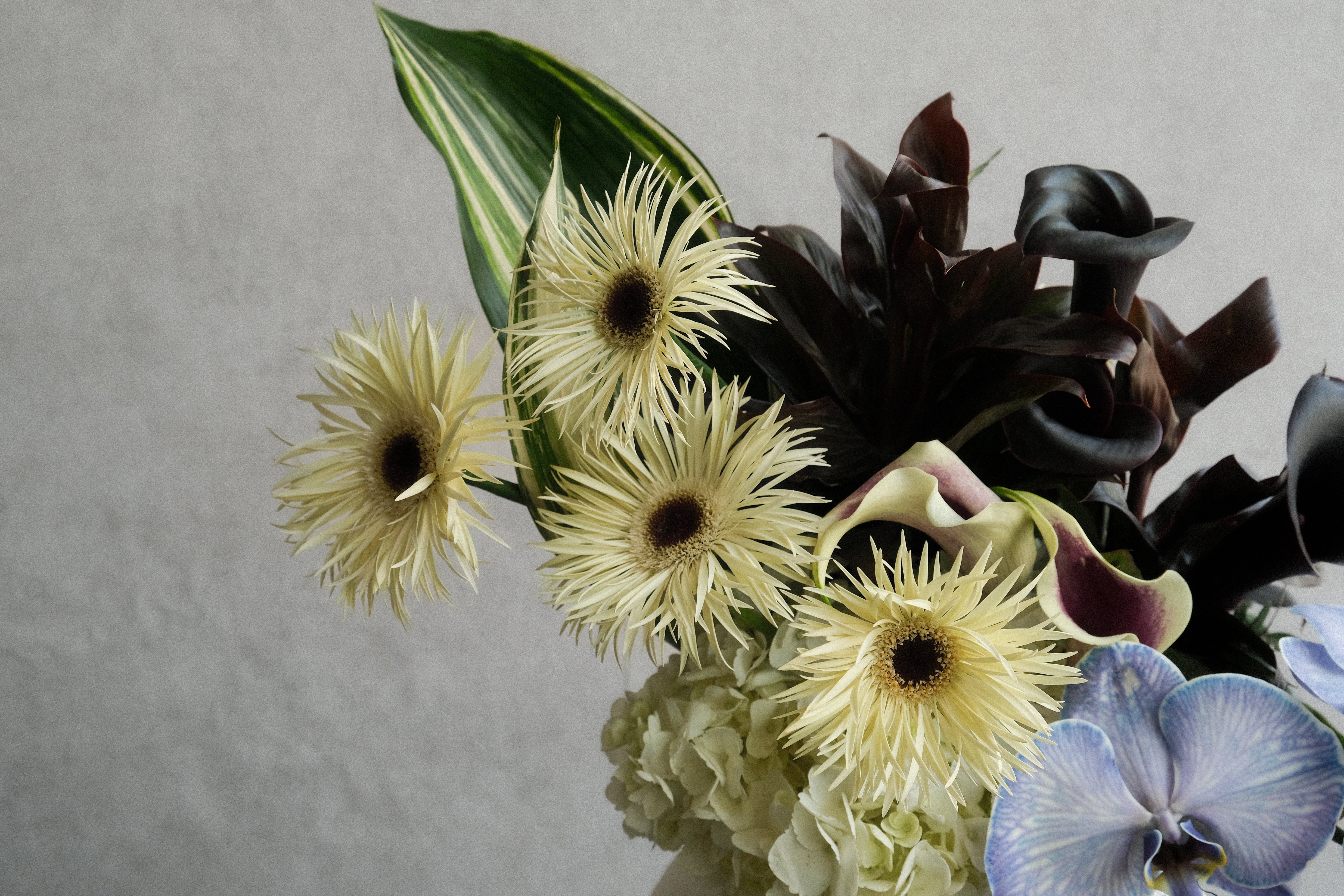 ちゅんブーケ Violette Luxury Purple Bouquet | Pacific Place Florist | Libertine