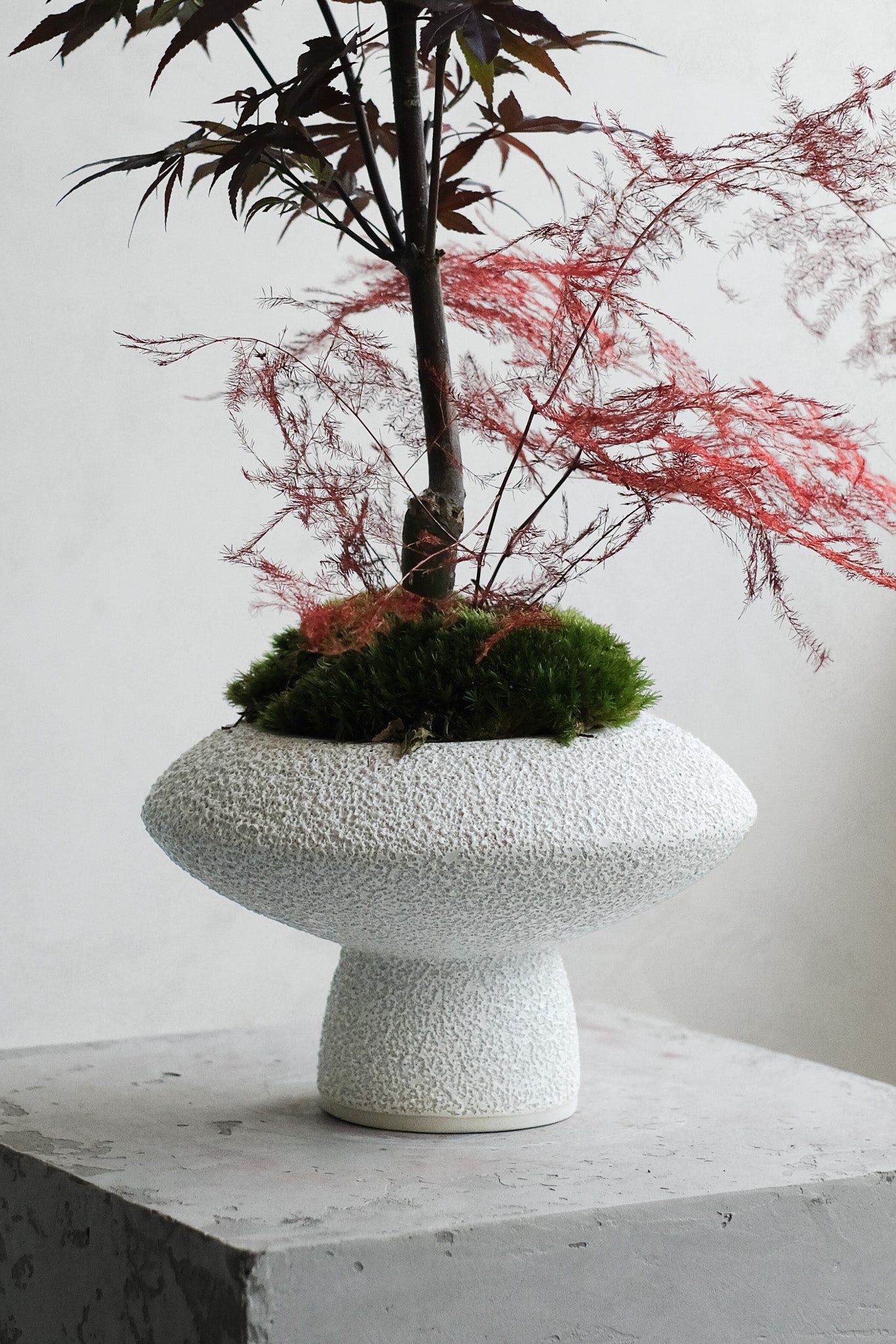 Home Accessories